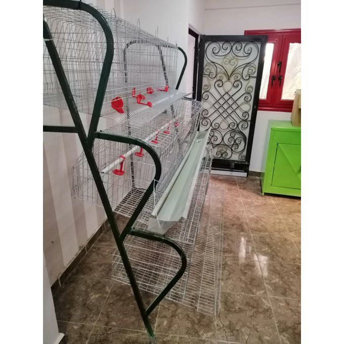 Batterie 120 poule pondeuse 