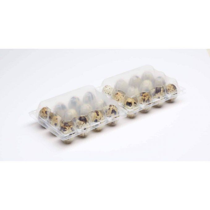 boite 12*2 œufs de caille 