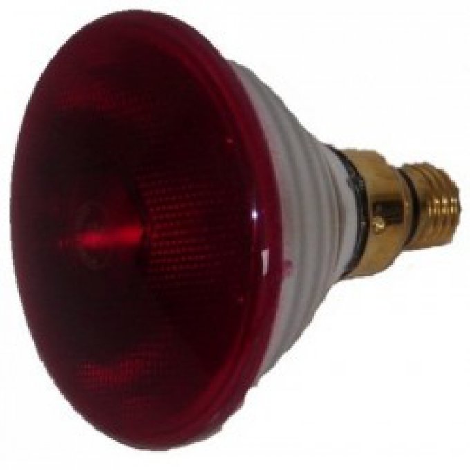 Lampe infra rouge 250w