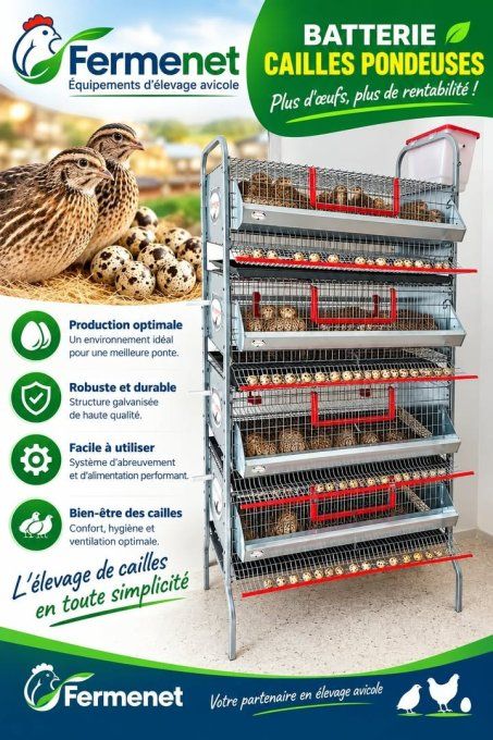cage caille 210 repro